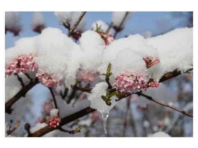 Prompts and Inspiration for Haiku Generation Using AI